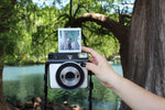 person holding camera with photo beside tree
