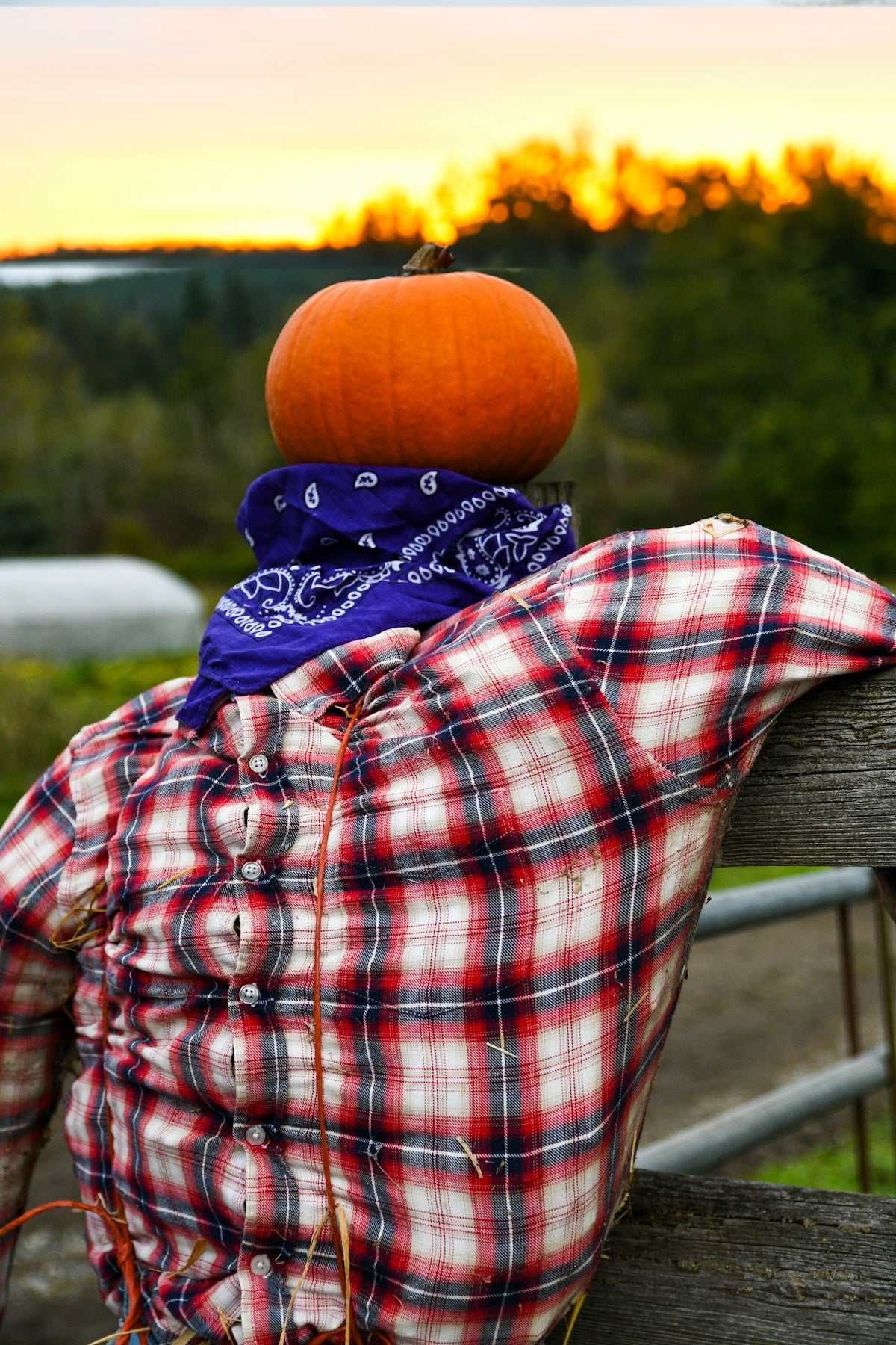a pumpkin sitting on top of a plaid shirt