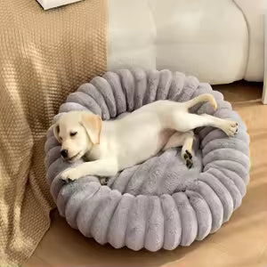 White puppy relaxing in a soft grey plush pet bed showcasing trending pet supplies for comfort