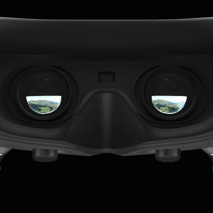 Walksnail/Caddx Goggles X (HD FPV Goggles)