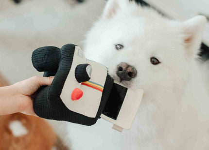 Instant Camera dog enrichment toy