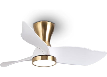 Reiga 91cm Flush Mount DC Ceiling Fan with Dimmable Light & Remote, Modern Style