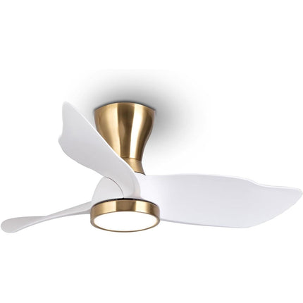 Reiga 91cm Flush Mount DC Ceiling Fan with Dimmable Light & Remote, Modern Style