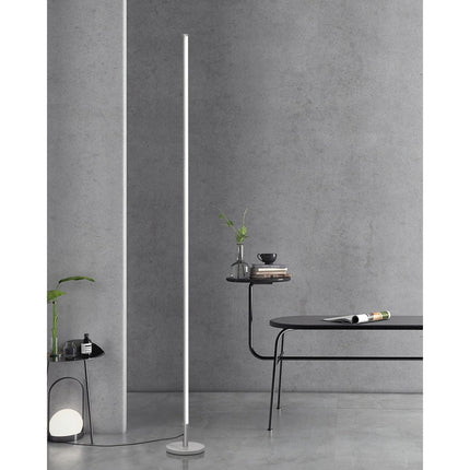 TACAHE Silver Corner Floor Lamp – Dimmable LED Mood Light with Remote, 57"