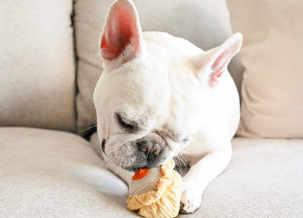 Dim Sum Pop enrichment dog toy