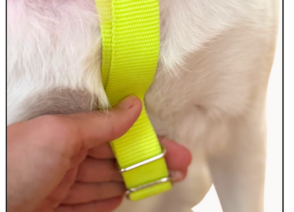 Nylon Colour Block Harness - Pink, Orange & Yellow
