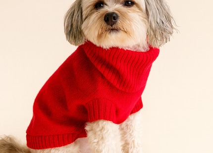 Cherry Red British Wool Jumper