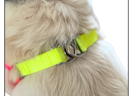 Nylon Colour Block Harness - Pink, Orange & Yellow