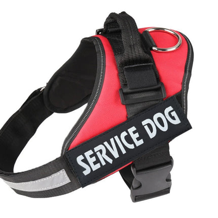 Pet chest strap with dog leash