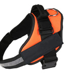Orange / XXS