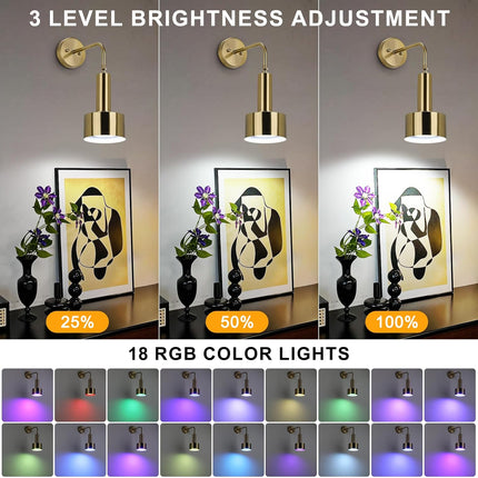 Lightsjoy RGB Wall Light, Rechargeable, USB, Remote, 18 Colors – Gold 1pc