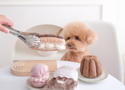 Éclair enrichment dog toy