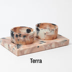 Terra