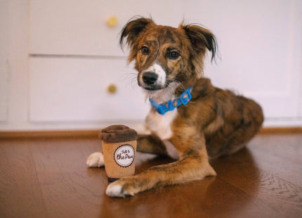 Pup Cup Cafe Doggo's Java