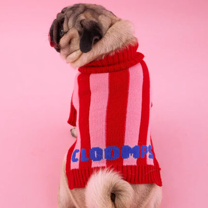 Lollipop Cloomps Jumper