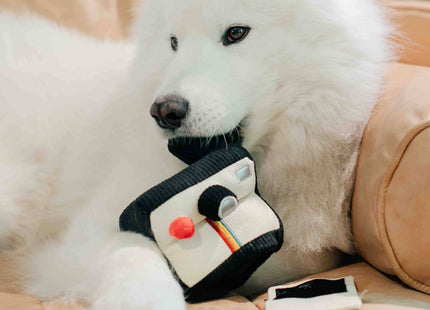 Instant Camera dog enrichment toy