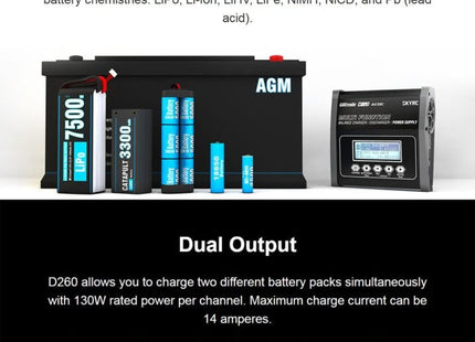 SkyRC D260 Dual Channel Battery Charger