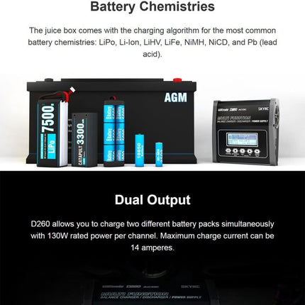 SkyRC D260 Dual Channel Battery Charger