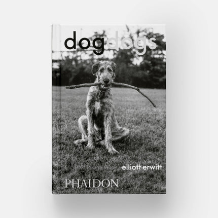 DogsDogs by Elliott Erwitt