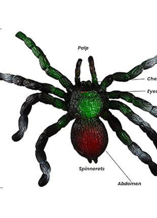 BOHS Rubber Jiggly Spider - Stretch & Squeeze - Realistic Big Soft Stretchy - Halloween Squishy Toy - Prank Bugs