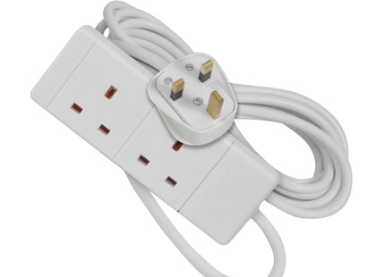 Mercury 2 Gang Mains Extension Leads