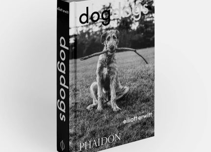 DogsDogs by Elliott Erwitt
