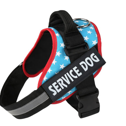 Pet chest strap with dog leash