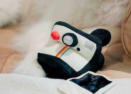 Instant Camera dog enrichment toy