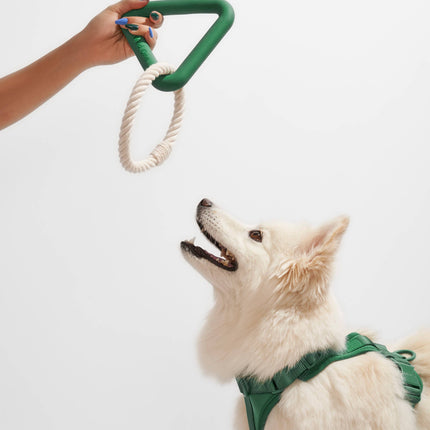 Triangle Tug Dog Chew Toy
