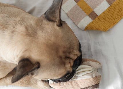 Éclair enrichment dog toy