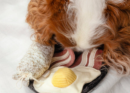 Breakfast Set enrichment dog toy