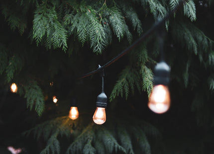 4lite Festoon Lighting Outdoor String Lamps with E27 Screw Warm White LED Bulbs