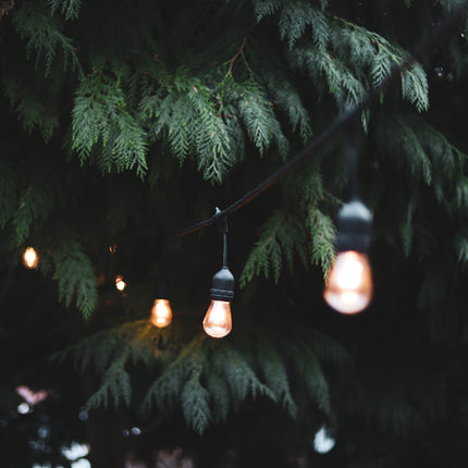 4lite Festoon Lighting Outdoor String Lamps with E27 Screw Warm White LED Bulbs