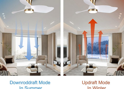 Reiga 91cm Flush Mount DC Ceiling Fan with Dimmable Light & Remote, Modern Style