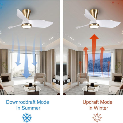 Reiga 91cm Flush Mount DC Ceiling Fan with Dimmable Light & Remote, Modern Style