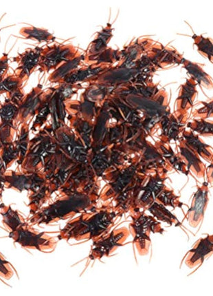 60pcs ealistic Roach Plastic Fake Novelty Insects Bugs Joke Toys Prank Prop for April Fools Day Halloween Party Favors Decoration