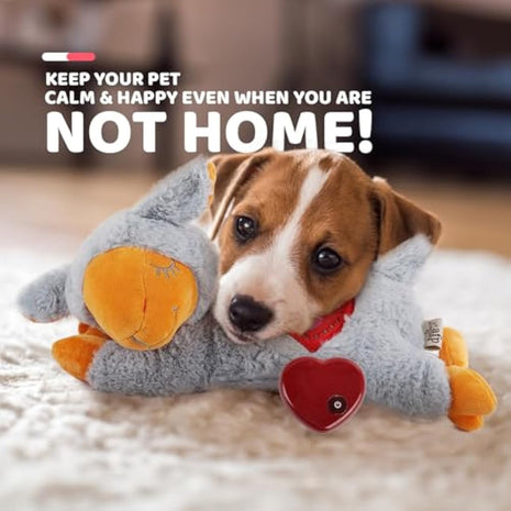 ALL FOR PAWS Puppy Heartbeat Toys Grey Sheep, Dog Behavioral Aid Plush Toy, Pet Snuggle Plush Toy for Puppies Dog with Heartbeating