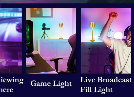 Rechargeable RGB LED Table Lamps Touch Dimmable 2 Pack IP54 White Indoor/Outdoor