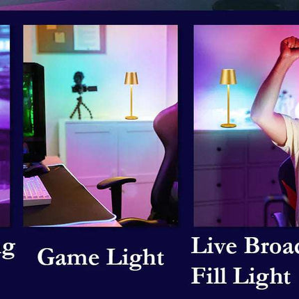 Rechargeable RGB LED Table Lamps Touch Dimmable 2 Pack IP54 White Indoor/Outdoor