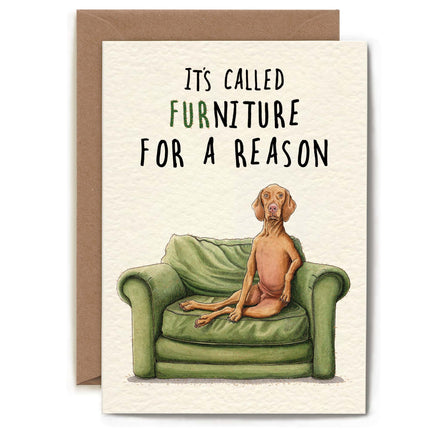 Furniture Everyday Dog Card