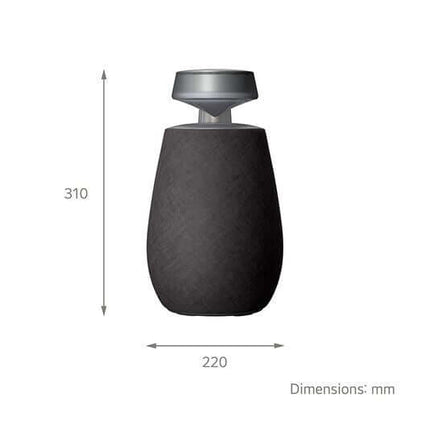 LG XBOOM 360 XO2 PORTABLE BLUETOOTH SPEAKER 40W RGB LIGHTING IP55 BLACK XO2TBK