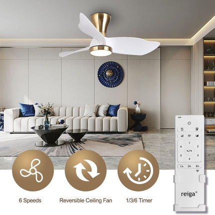 Reiga 91cm Flush Mount DC Ceiling Fan with Dimmable Light & Remote, Modern Style