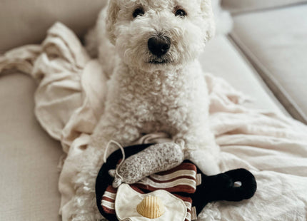 Breakfast Set enrichment dog toy