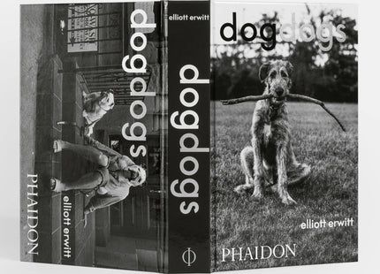 DogsDogs by Elliott Erwitt