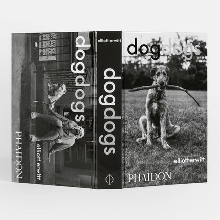 DogsDogs by Elliott Erwitt