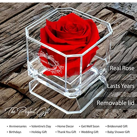 A 100% Real Rose That Lasts Years - Eternal Petals, Handmade in UK, Flowers Delivery Next Day Prime – White Gold Solo (Red)