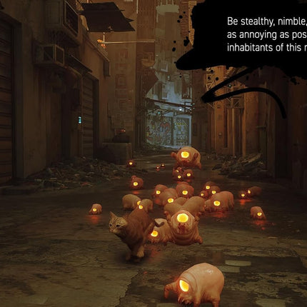 Stray (Nintendo Switch)