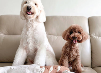 Mini Baguette enrichment dog toy