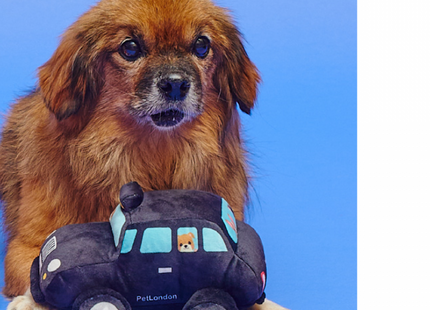 London Taxi British Dog Toy