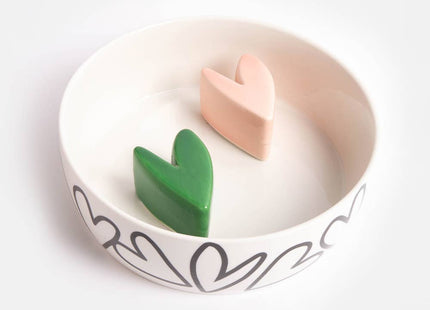 Small Slow Feed Pet Bowl